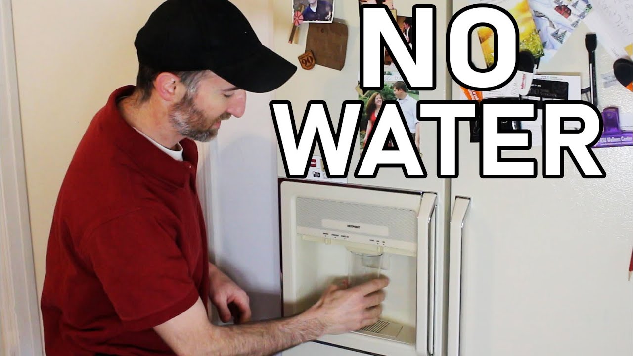 Refrigerator Not Dispensing Water Through Door - Simple Fix