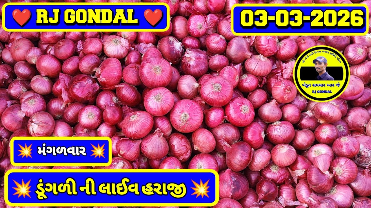 Dungri Na Bhav | 03-03-2026 | ગોંડલ ડૂંગળી ના ભાવ | Onion Market | RJ Gondal Marketing Yard 