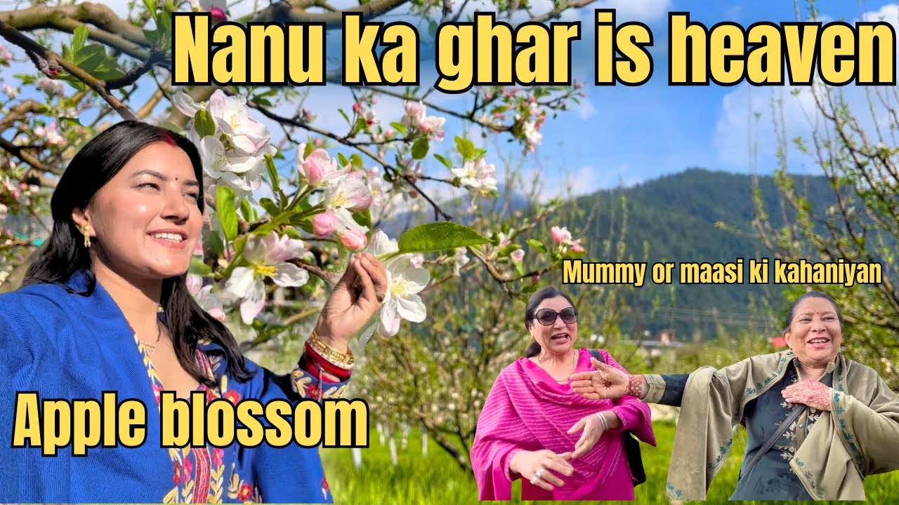 Mere nanu ka ghar || Home Tour || Mummy aur maasi ki stories || Himachal || Aanchal and Helly