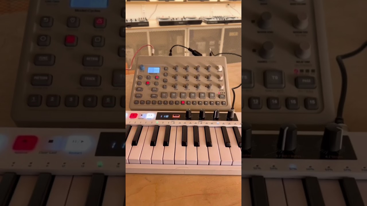 Having fun with the Elektron Model Cycles #elektron #dawless #modelcycles #fmsynth #moogaudio