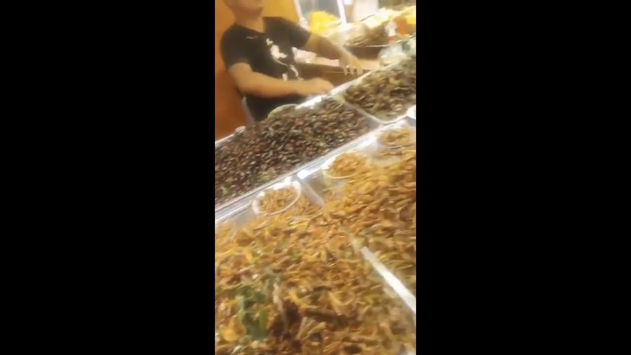 Cibarsi di insetti in Thailandia