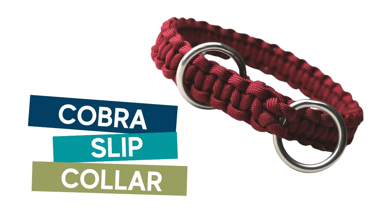 HOW TO MAKE A PARACORD COBRA SLIP DOG  COLLAR TUTORIAL
