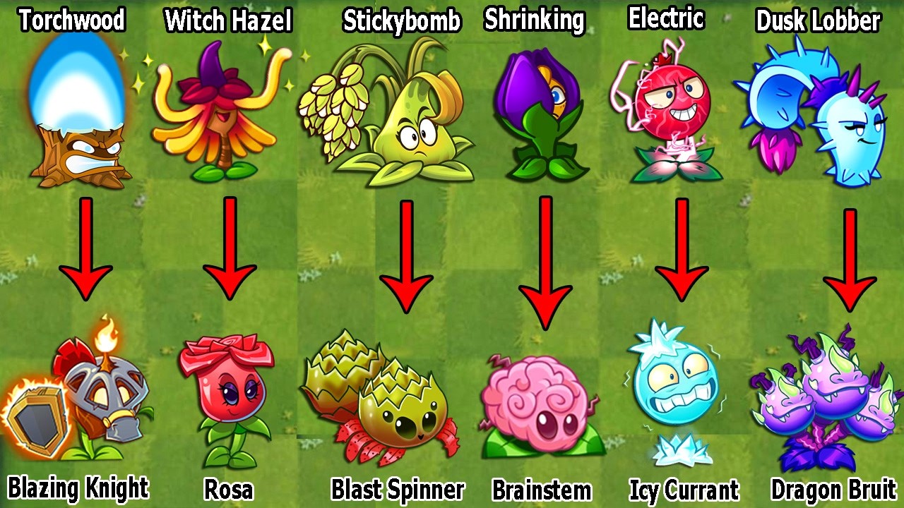 Pvz 2 Discovery - Some New & Old Plants Evolution NOOB - PRO Version