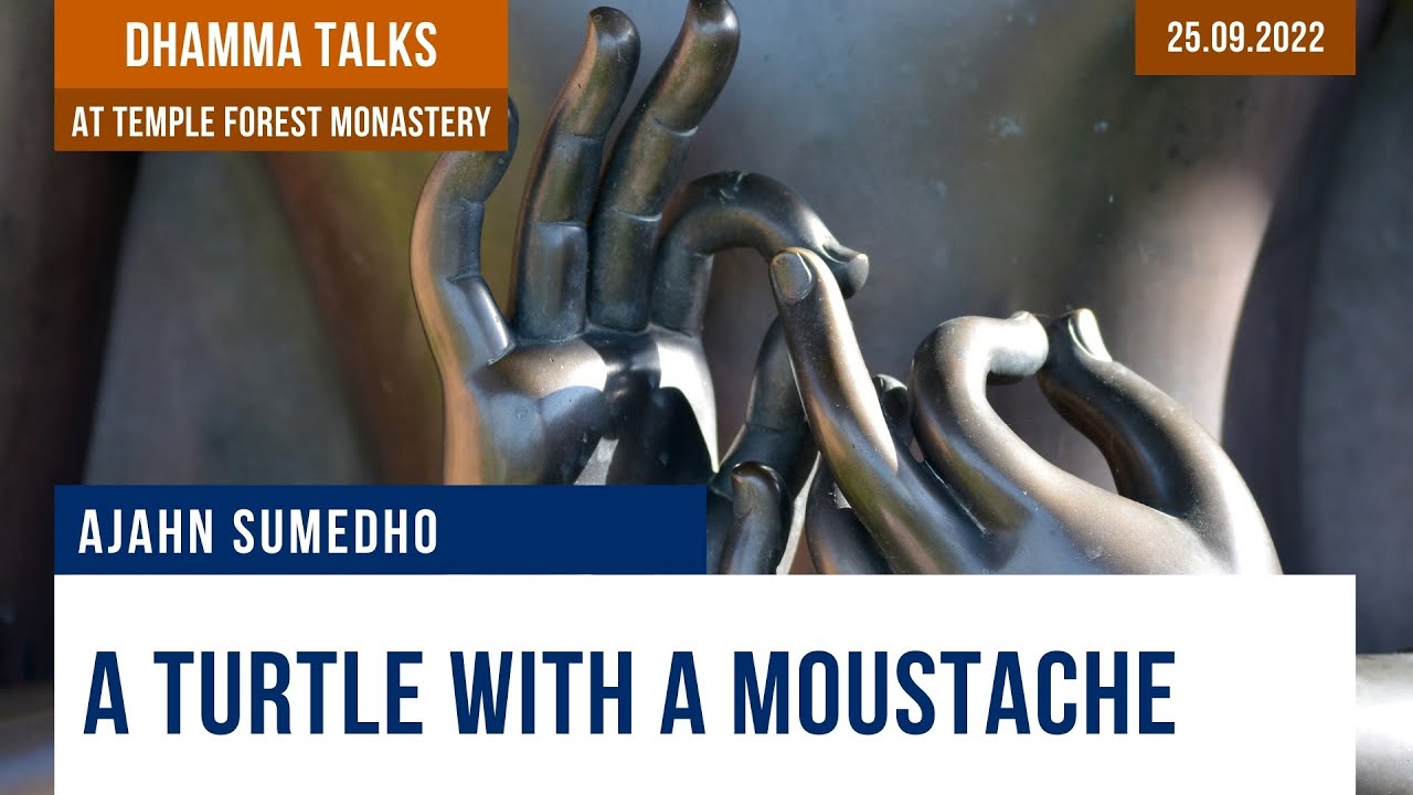 A Turtle with a Moustache | Ajahn Sumedho | 25.09.2022