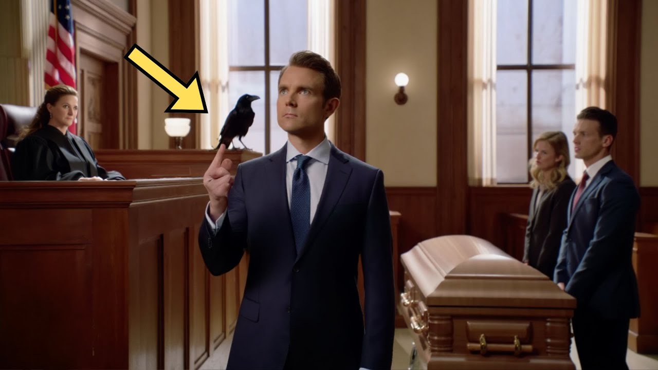 Judge authorizes forensics on TOMB after sinister CROW behavior...