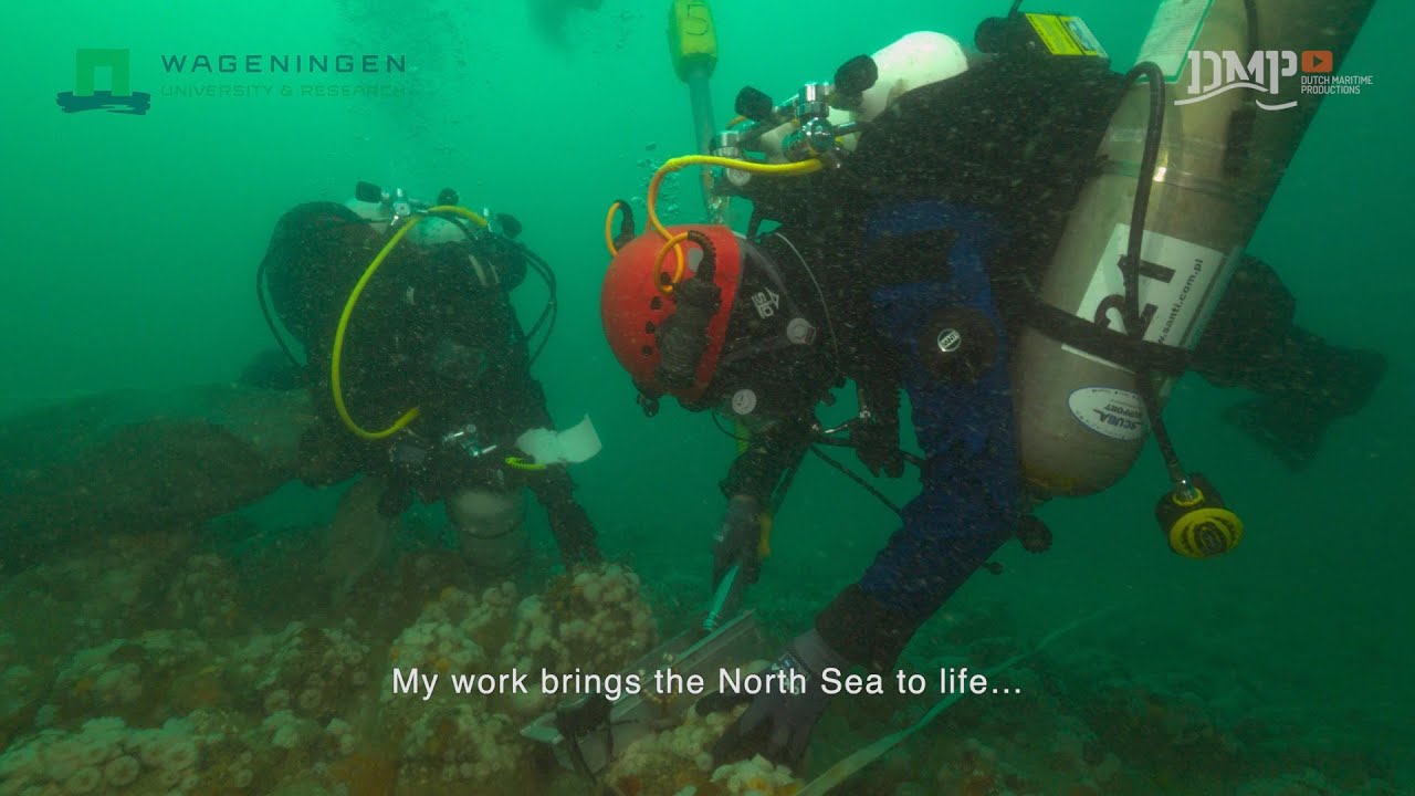 Scientific research in the North Sea - Promo