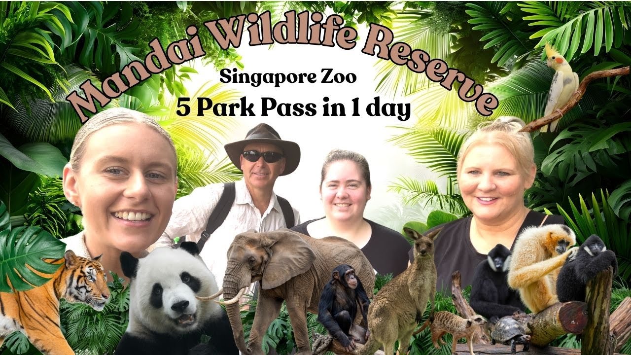Singapore Zoo 5 Parks in 1 Day Pass | Is It Worth It? 🦁🐼🐯