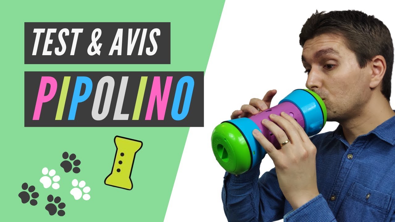 Pipolino : notre test & avis sur ce distributeur de croquettes anti-glouton