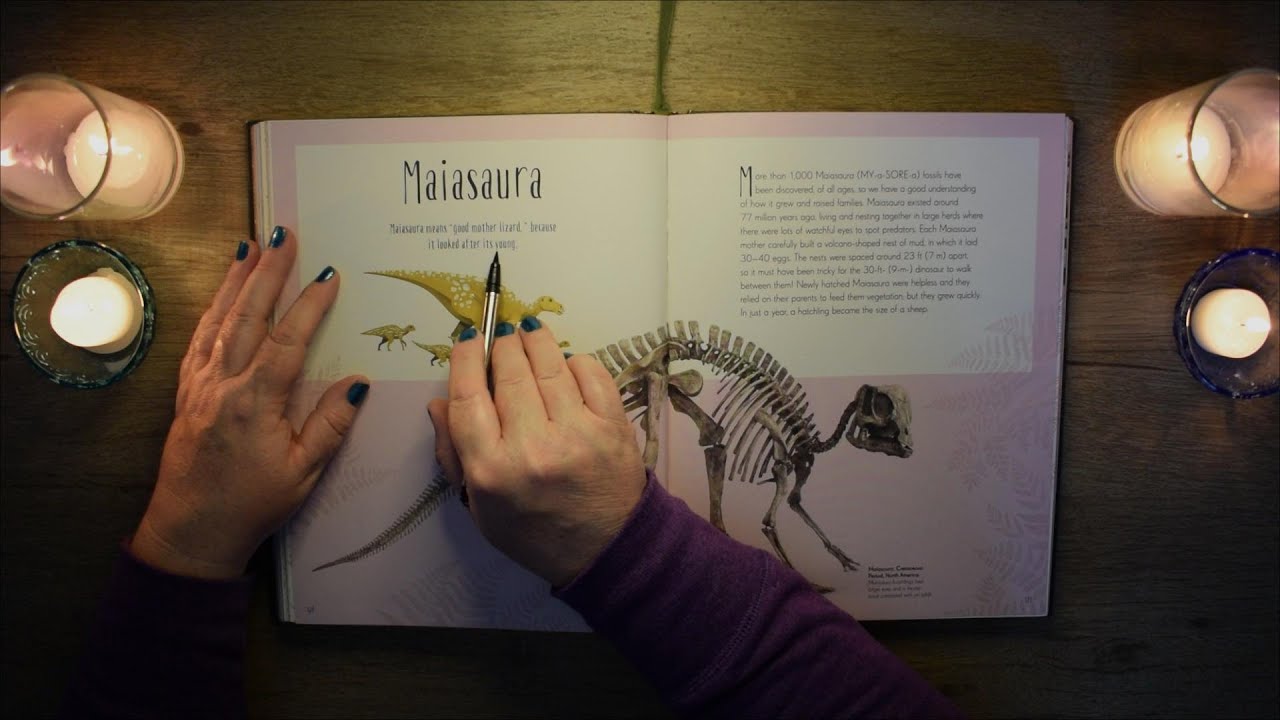 ASMR 2nd look Prehistoric creatures and plant life, Lots of Tracing, Page Turning and Soft Reading