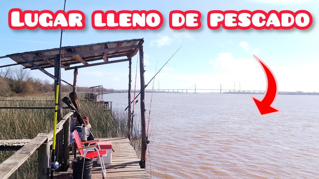 TODA LA VARIADA ESTA ACÁ ! Pesca en Isla Cazadores, Zárate 