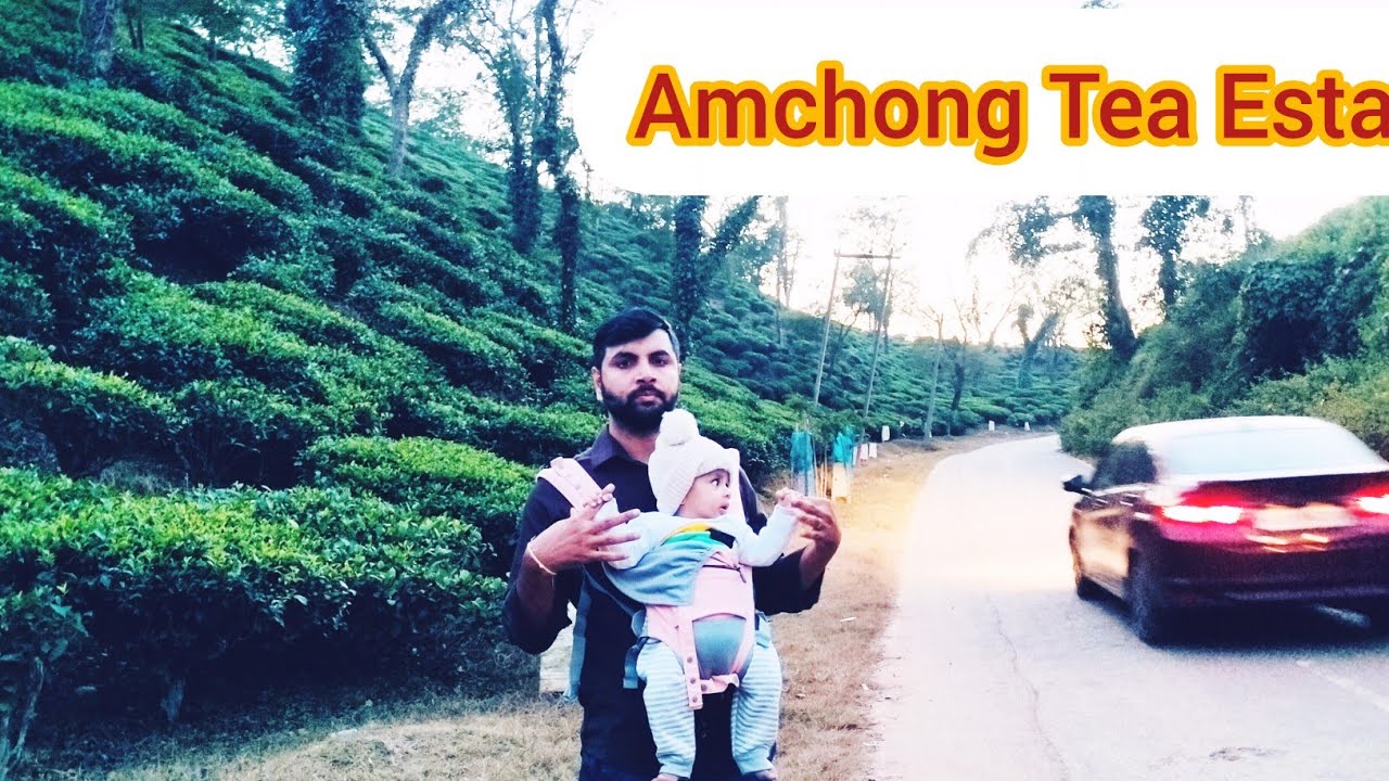 Amchong Tea Estate guwahati  | Travel Tips |