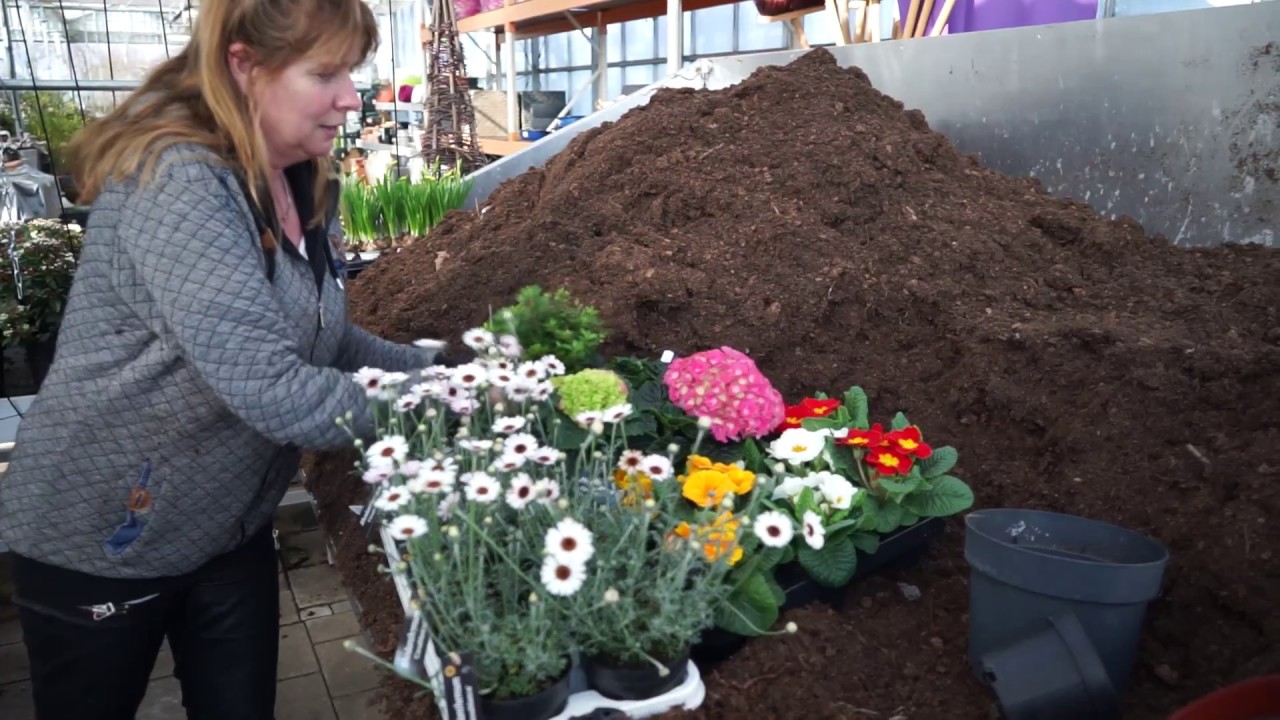 Hoe vul ik mijn plantenbakken en potten in het voorjaar?