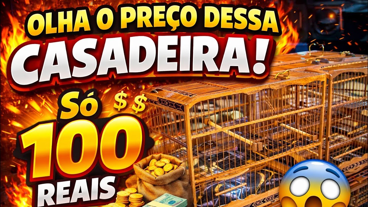 Olha o Preço Dessa Casadeira! Só 100 Reais 😱