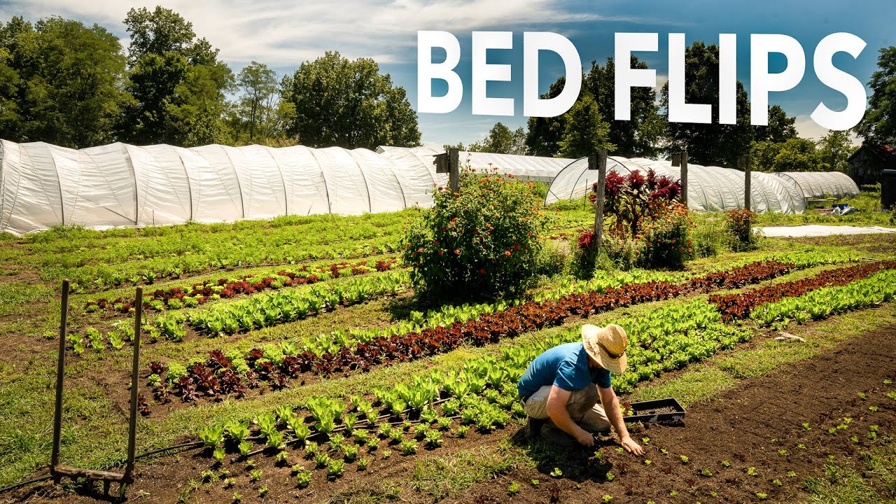 Maintaining a Continuous Garden