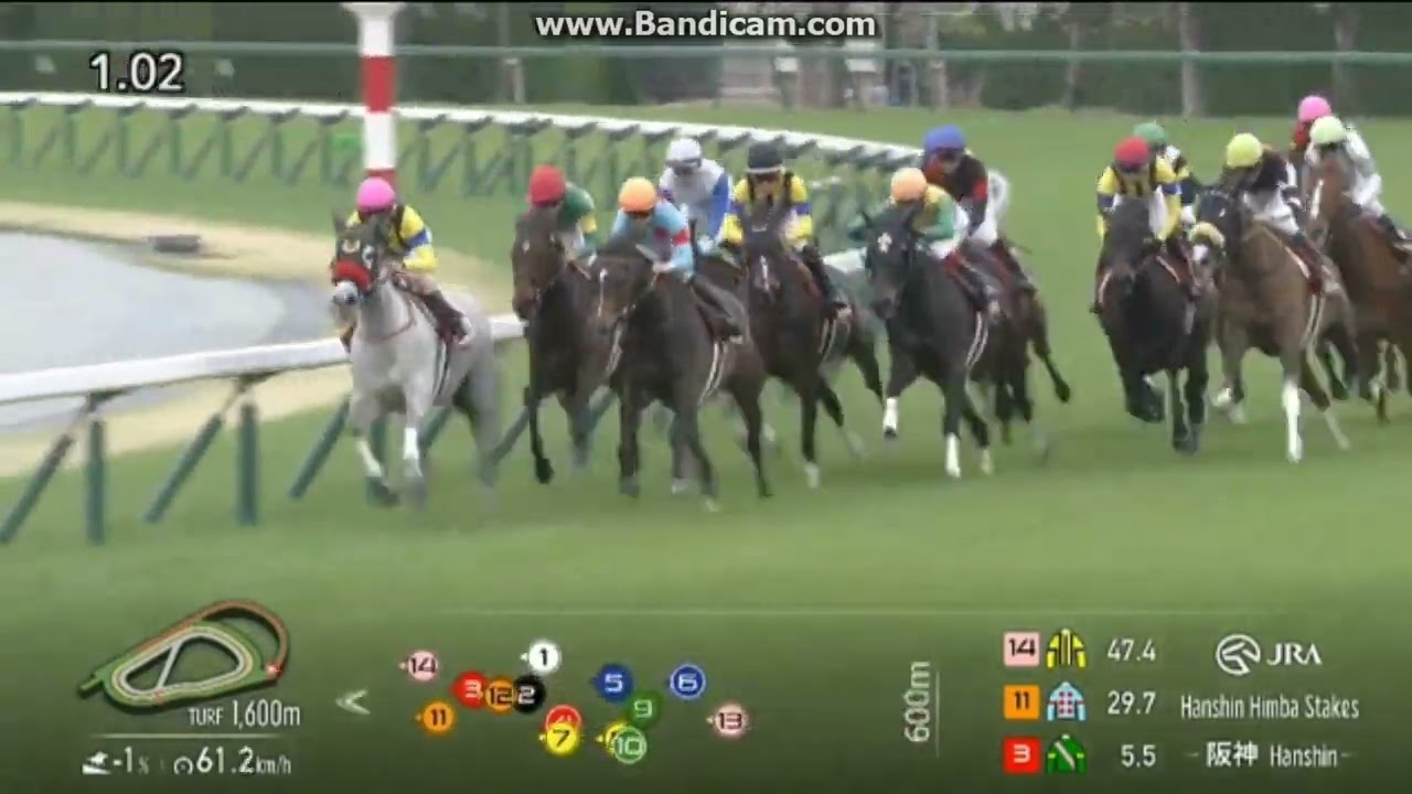 2025 阪神牝馬S (GⅡ)　サフィラ