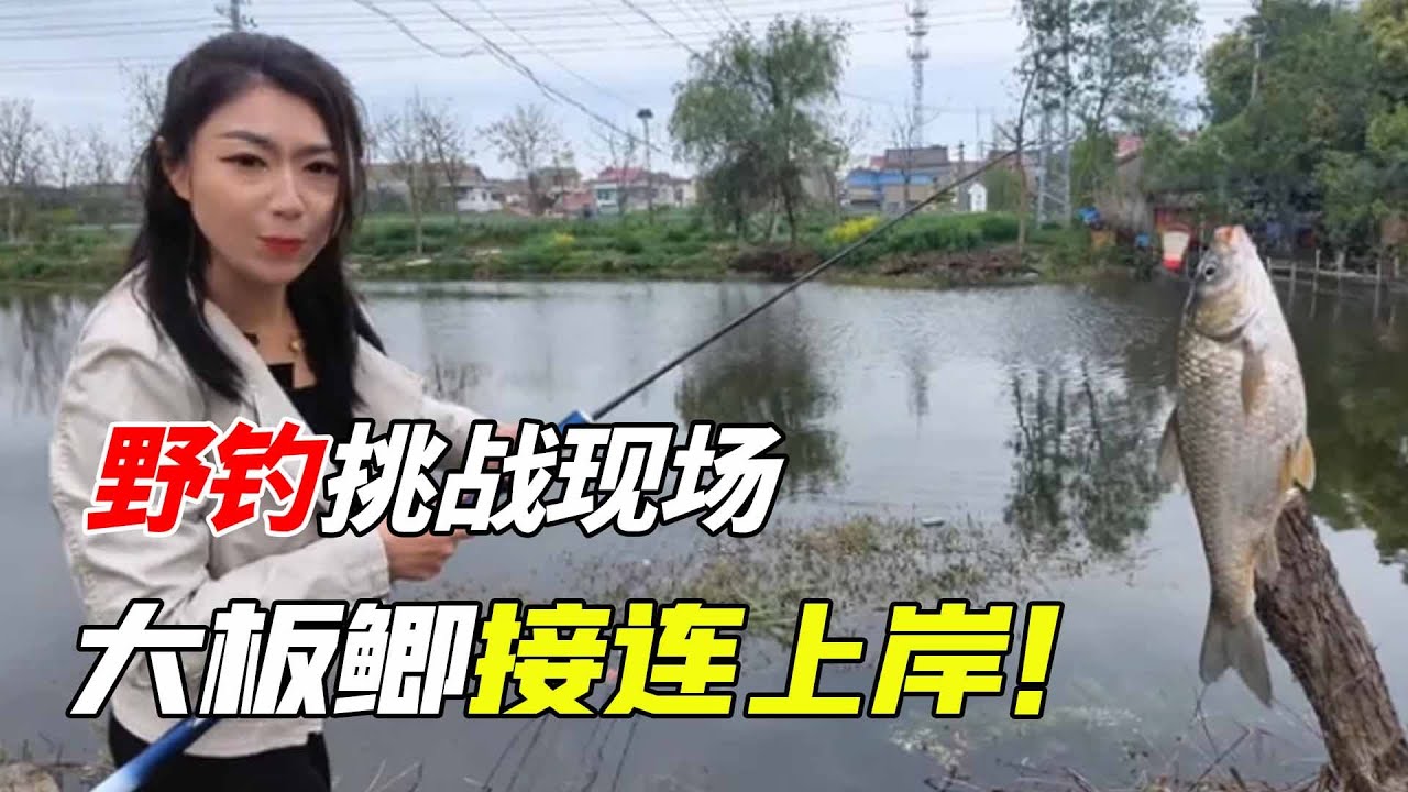 美女出街沉浸式傳統釣，選位精準拋竿超絲滑，大板鯽接連上岸上不停超爽！