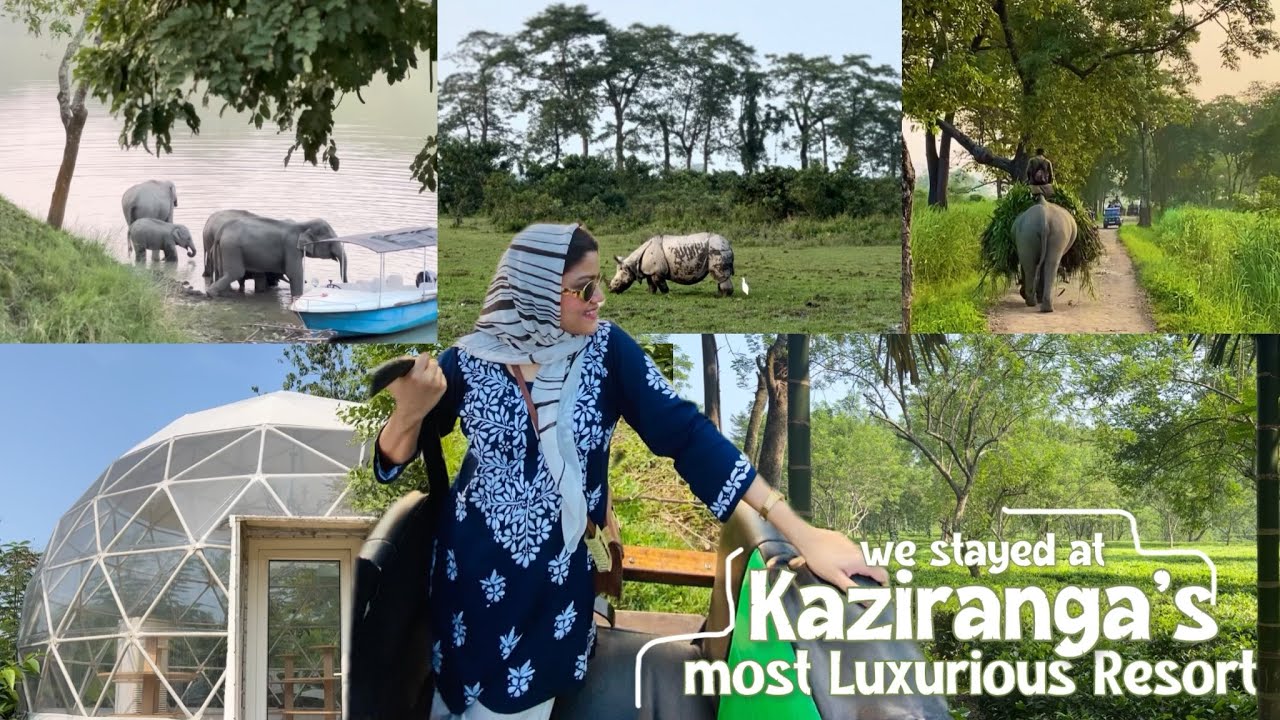 Kaziranga Vlog | Assam’s MOST LUXURIOUS RESORT -Vaani Greens Kaziranga | Jeep safari at KAZIRANGA