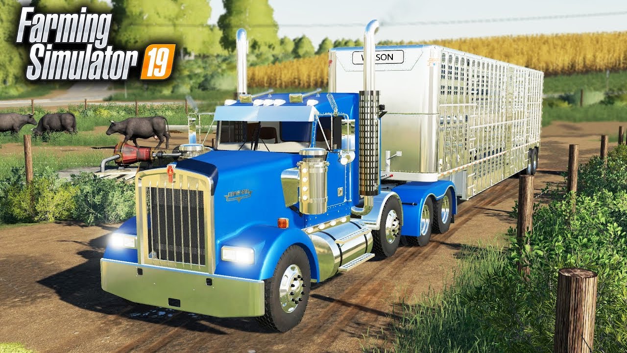 FS19- CATTLE TRUCKING! BUYING 24 HEAD OF BLACK ANGUS COWS