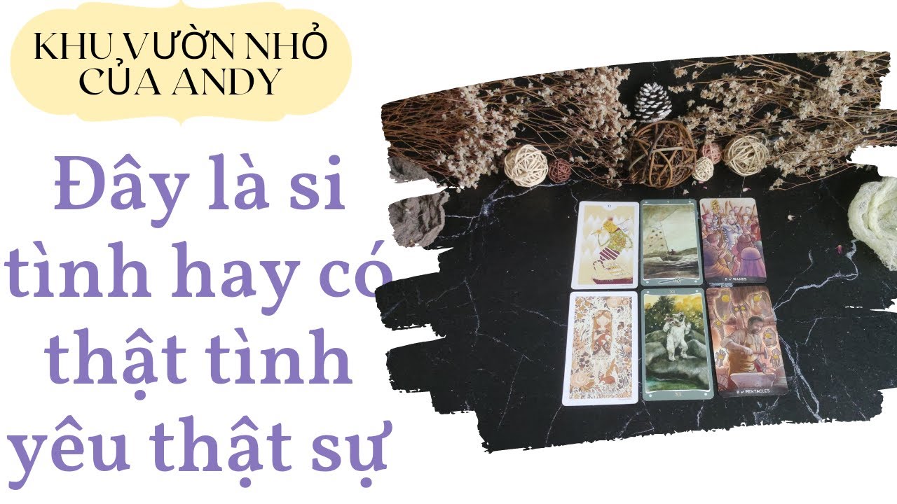 Chọn 1 tụ bài Tarot - Đây là si tình hay có là tình yêu thật sự - Alo Andy