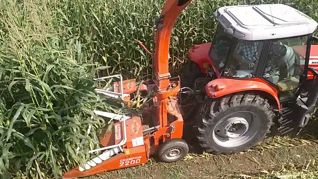 KEMPER CHAMPİON 2200&MASSEY FERGUSON 6460 SİSU POWER