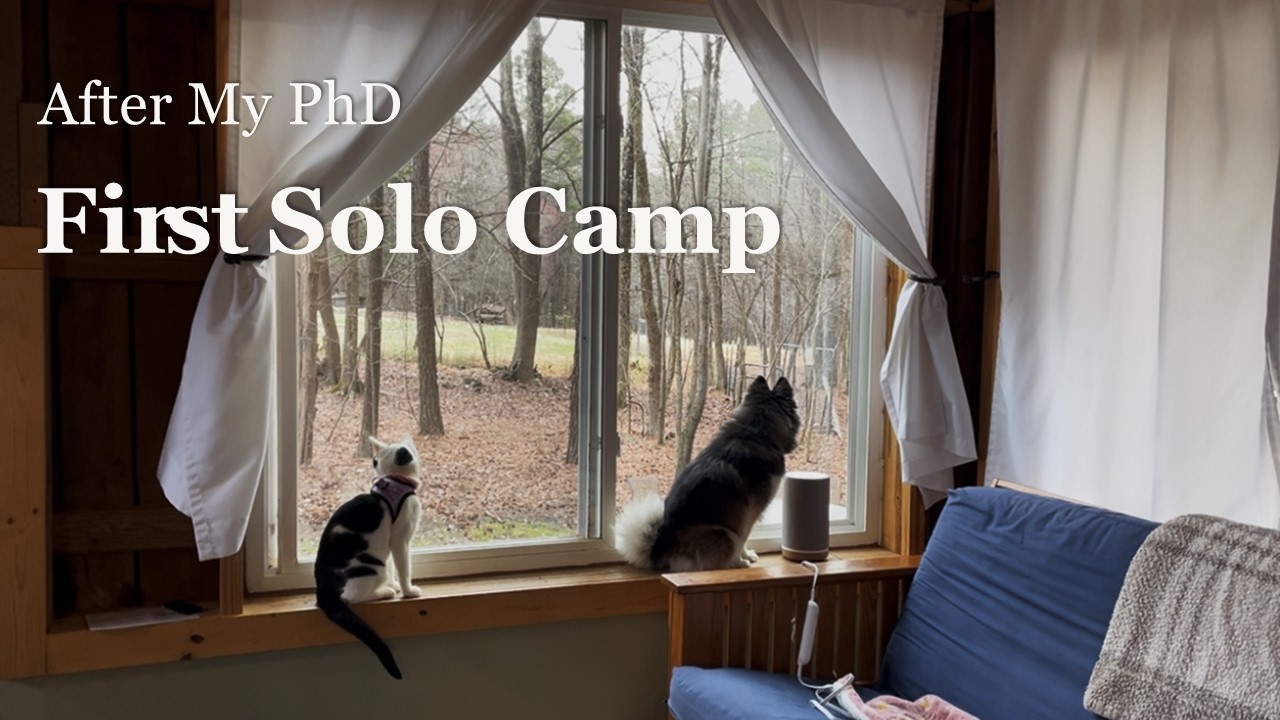 Slow Days After My PhD | Solo Camping with My Cat and Dog