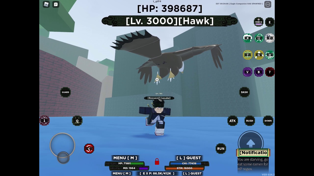 Sasuke hawk vs meh