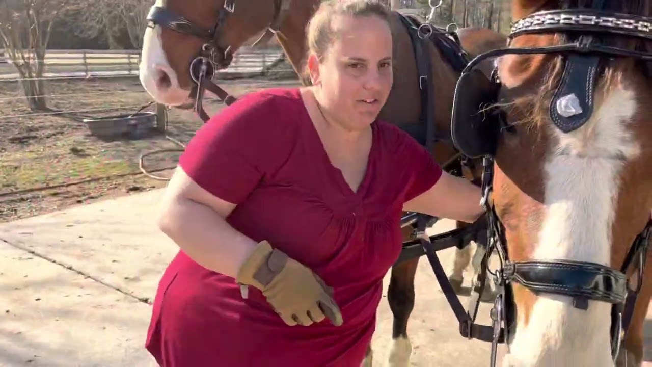 Putting-to a Pair Carriage.