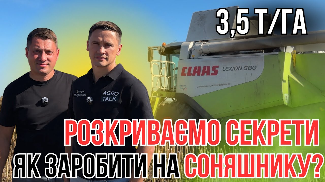 Чи дав прибуток соняшник у 2025 році? Скільки ?