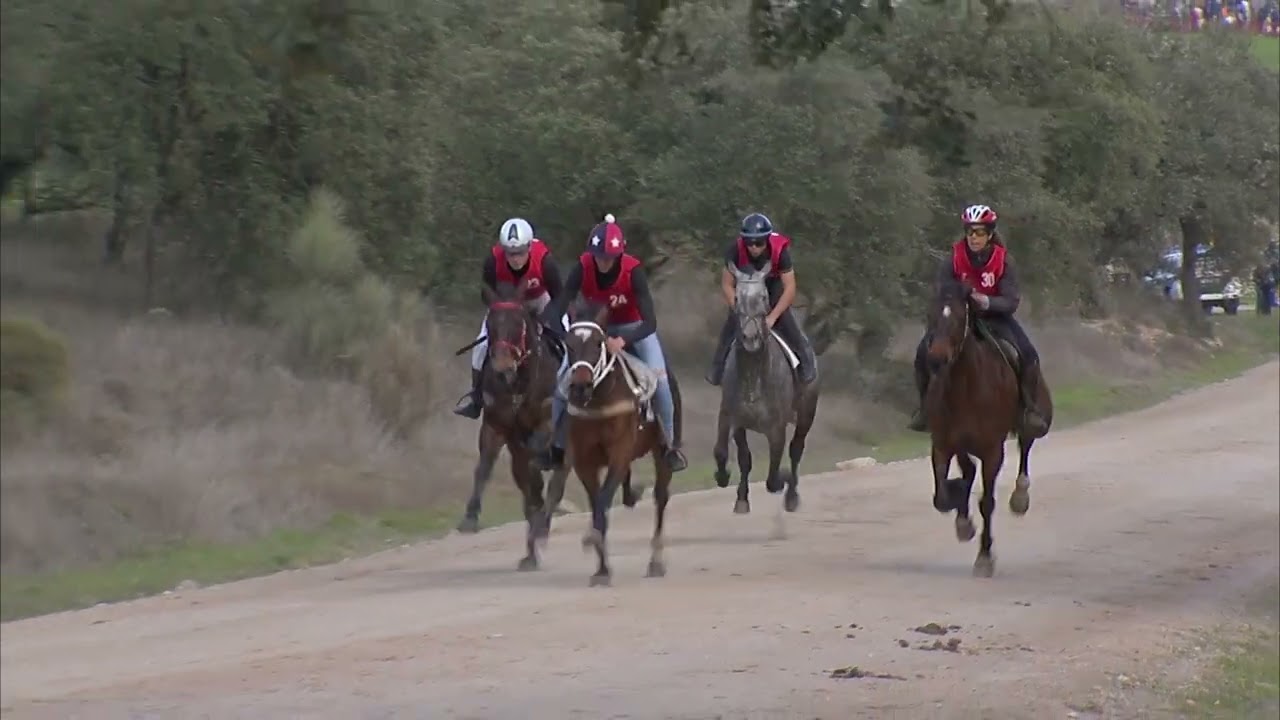 CARRERA CABALLOS TORIL 2026  FINAL CRUZADOS