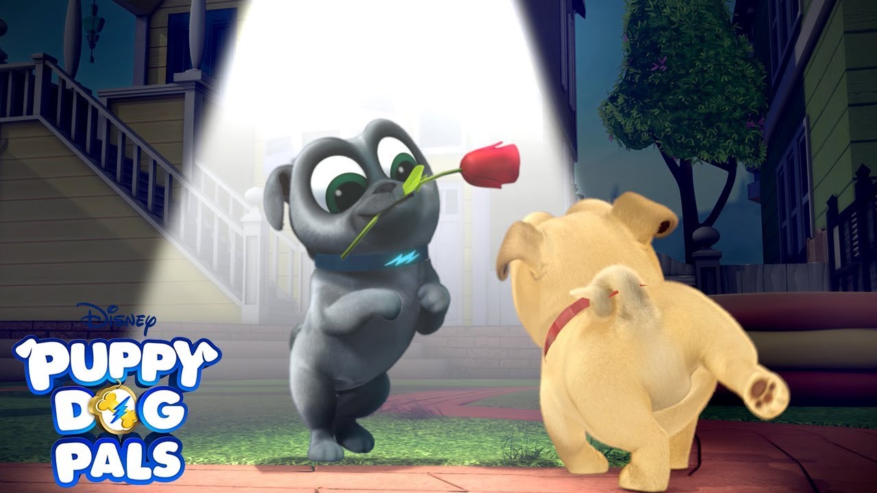Don't Blink! | Playtime with Puppy Dog Pals | Disney Junior