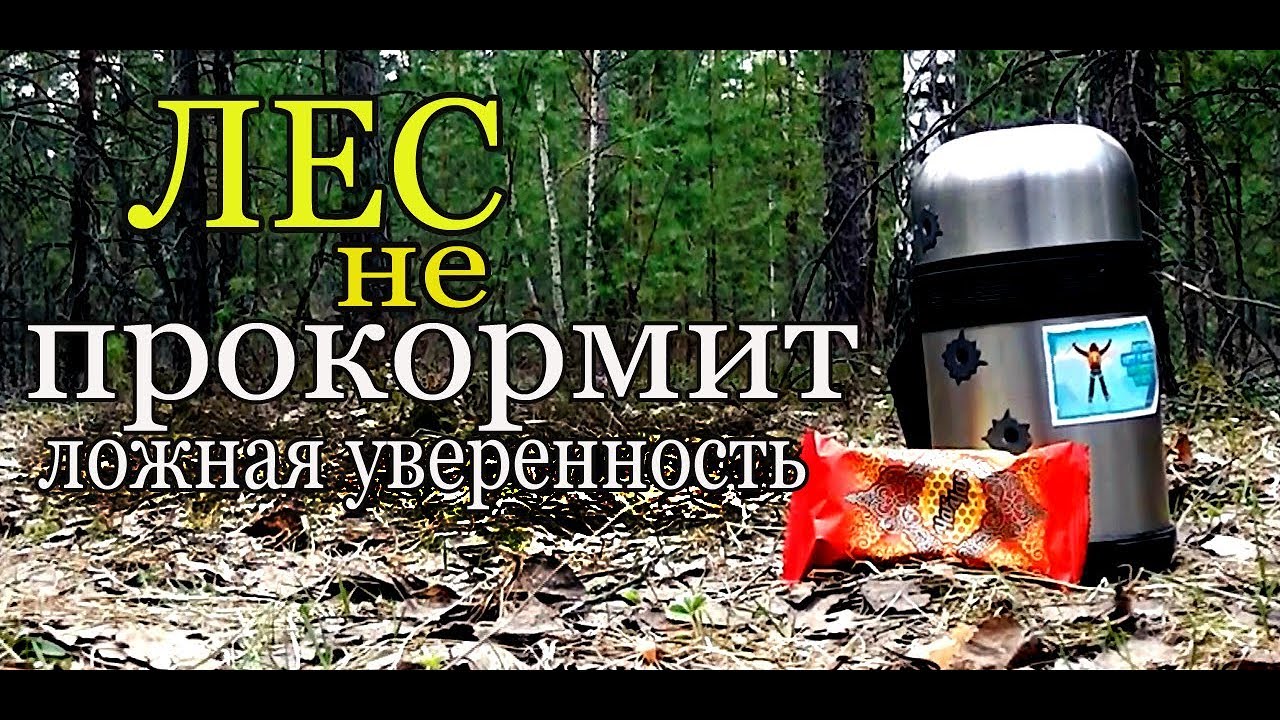 ЕДА в ЛЕСУ. ОЖИДАНИЕ и РЕАЛЬНОСТЬ. ЧЕМ питаться в лесу.