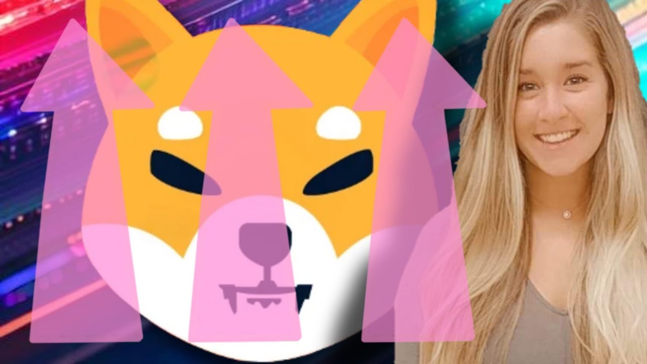 Shiba Inu Coin Rises As Bitcoin Hits Highs! SHIB