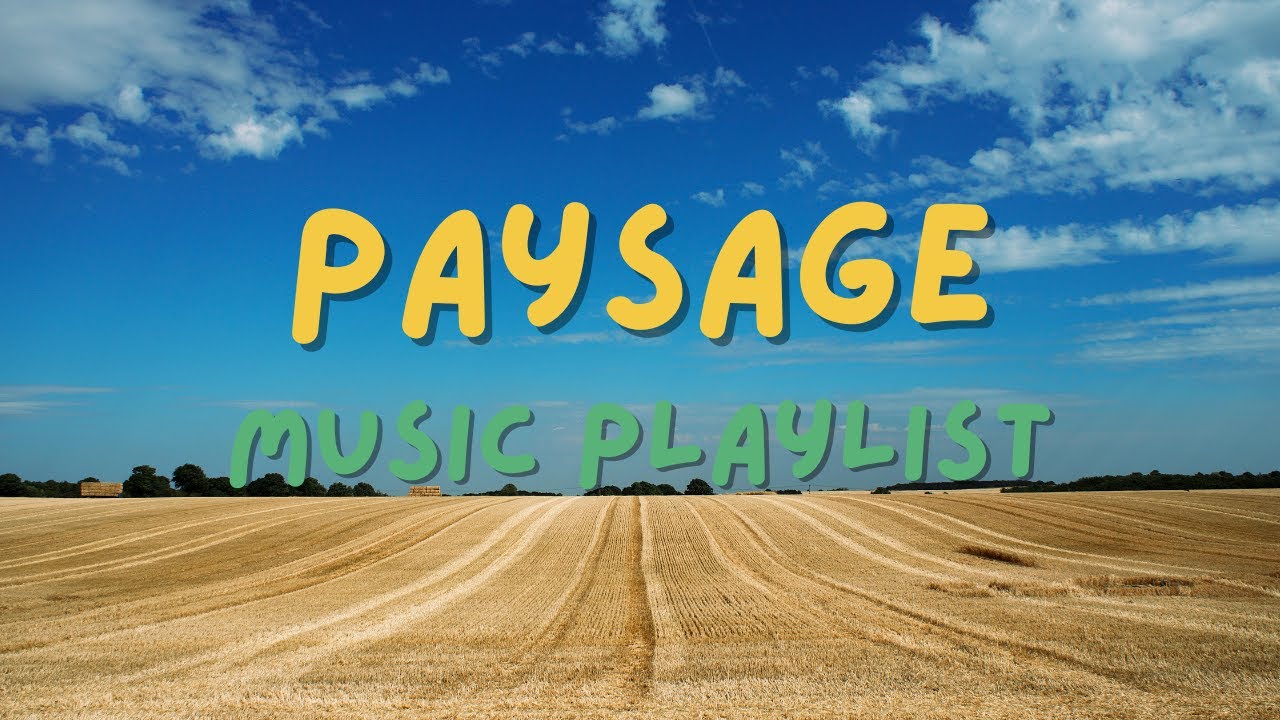 Grassland Serenity 🌾 Chill Soundscape for Relaxation and Tranquility
