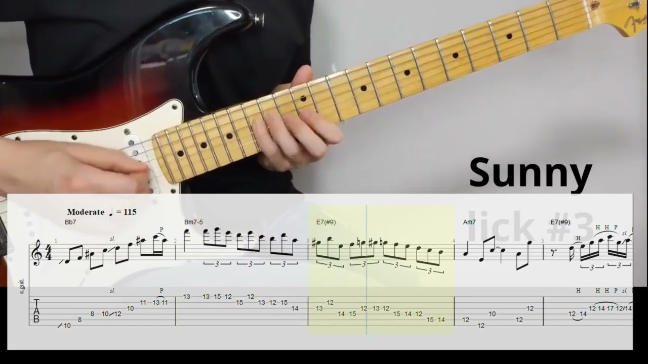 sunny style fusion  guitar licks
