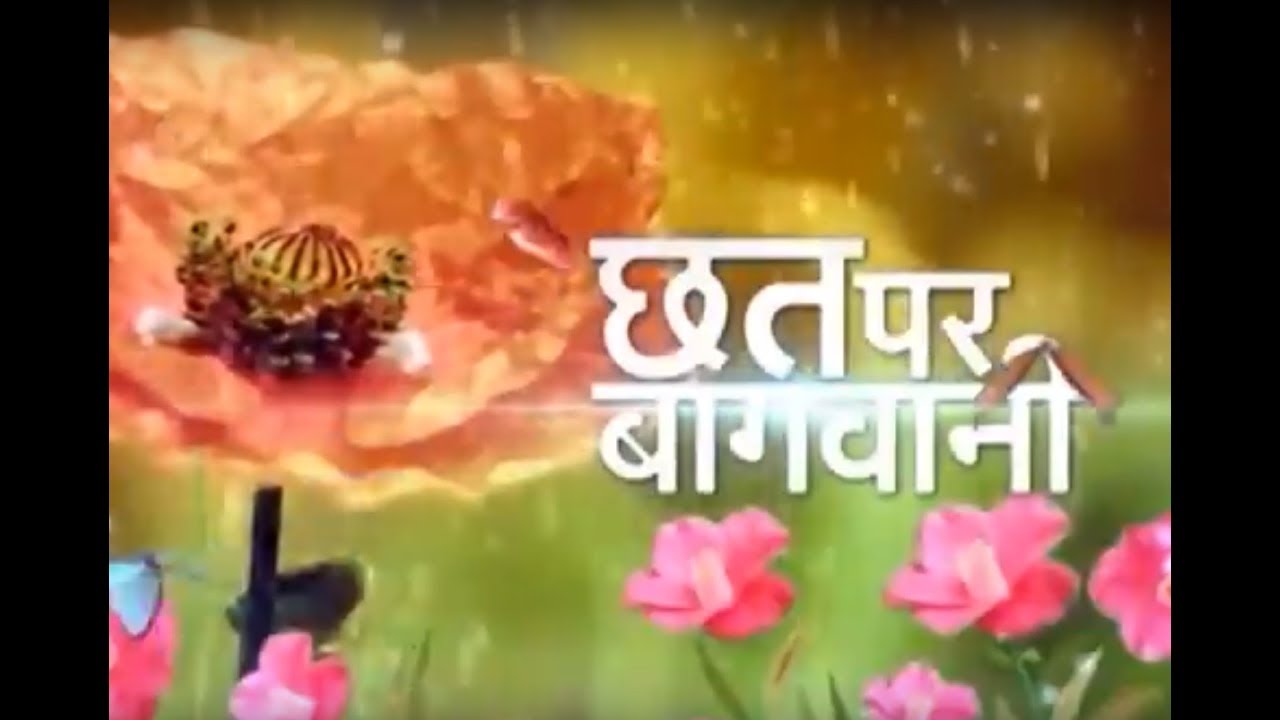 Chatt Par Baghwani - Biodiversity through Own Grown harvesting