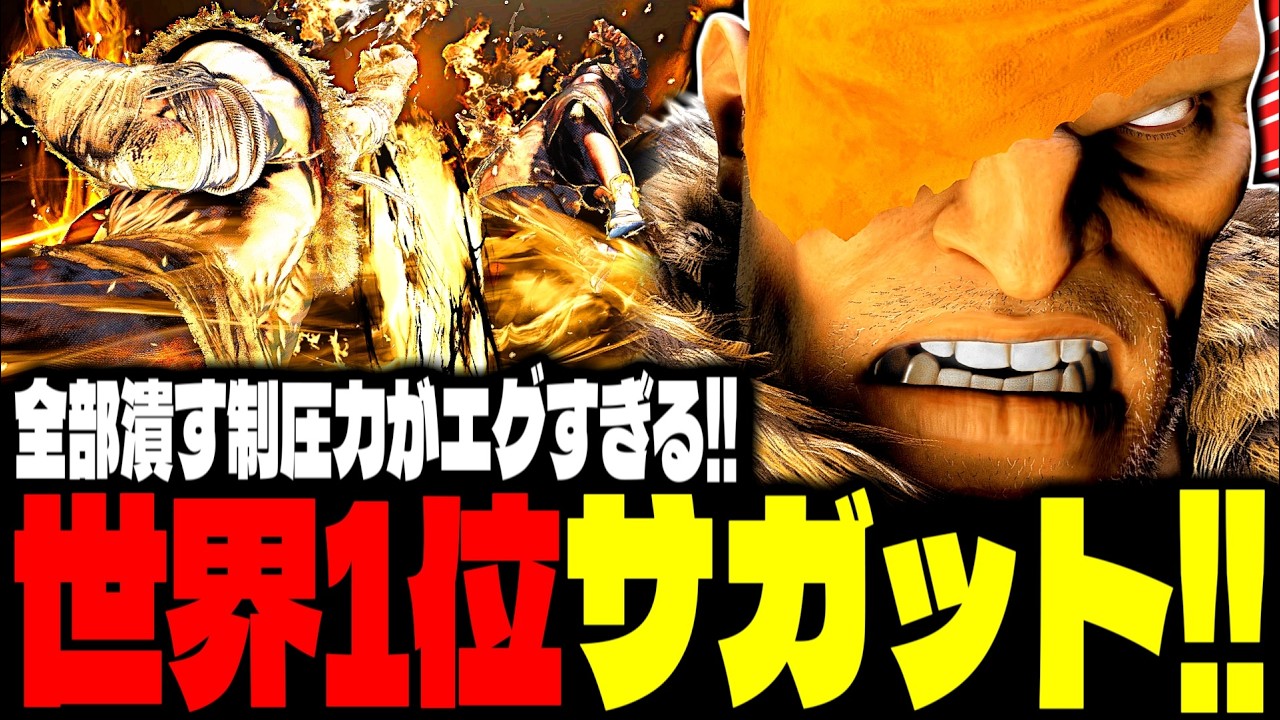 【SF6】世界1位サガット！&ldquo;全部潰す制圧力&rdquo;がエグすぎるｗｗｗ「ひなお(hinao):サガット(Sagat)」【スト6】