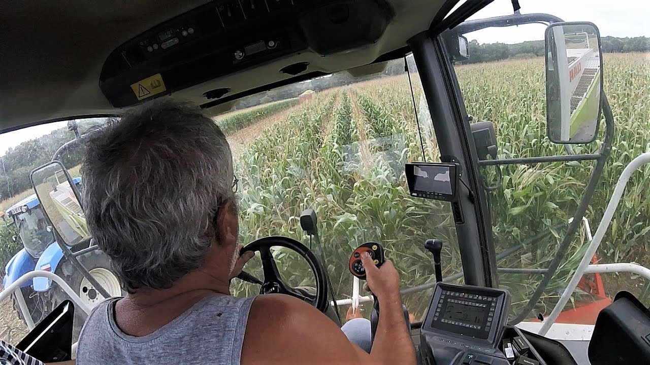 Ensilage de Maïs 2017  | X 10 BENNES !! [GoPro&Nikon]