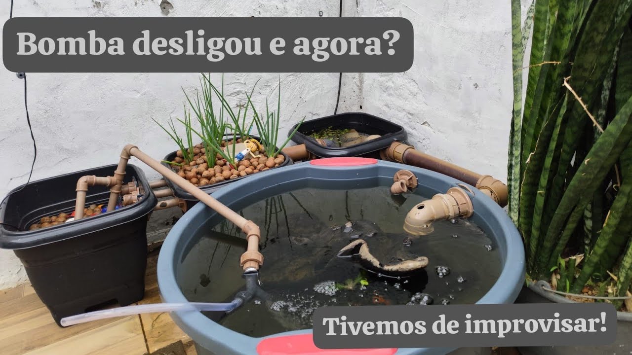 Bomba 12v Solar, Deu problema na falta de sol ☀️ tivemos que adaptar porém funcionou muito bem!