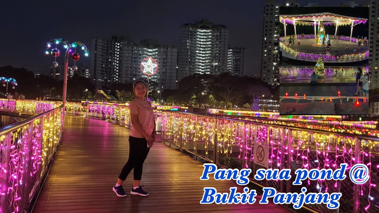 Amazing Christmas lights @ PANG SUA POND || BRENDA MORENA #SINGAPORE #BUKITPANJANG