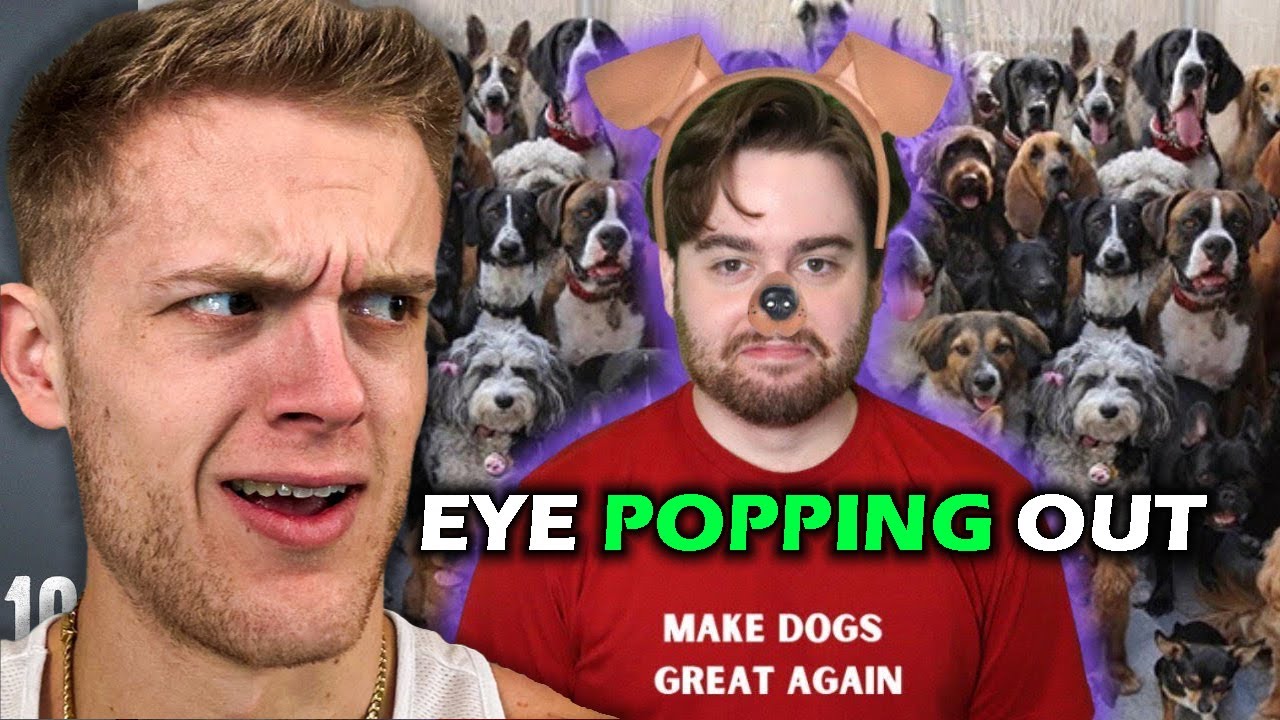 Joe Bartolozzi Reacts to How we Ruined Dogs