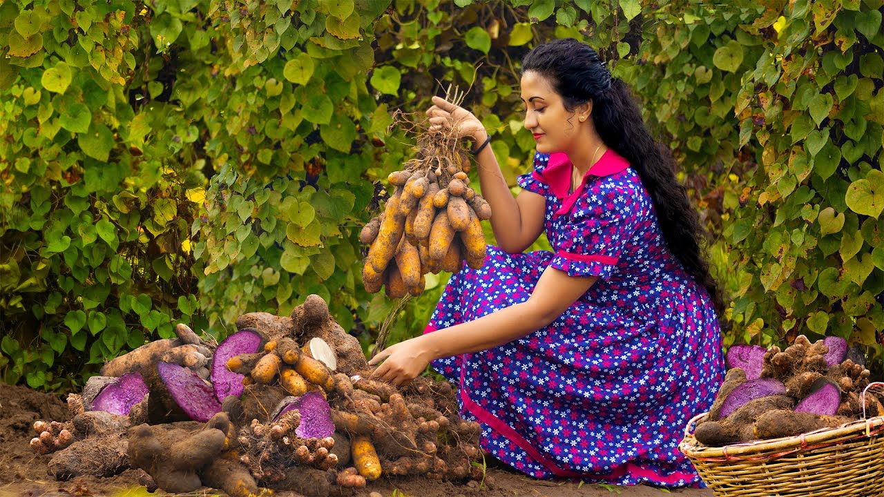 I Made purple roses | Unforgettable dishes. For my family with lots of love|Poorna-The nature girl|