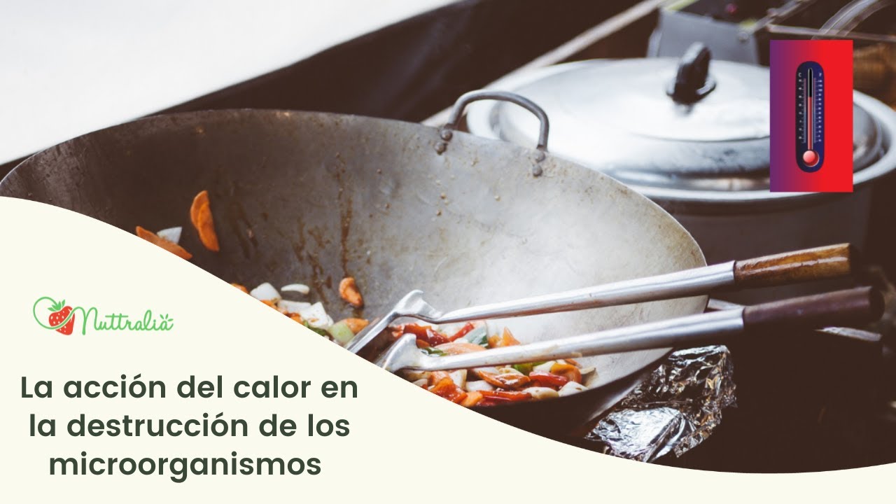 Acción del calor sobre los microorganismos