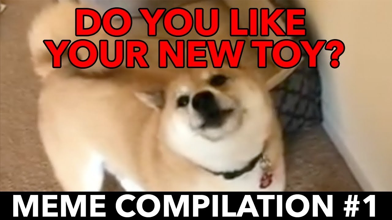 Do you like your new toy? - Meme Compilation #1