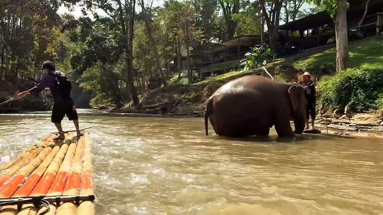 Bamboo Rafting