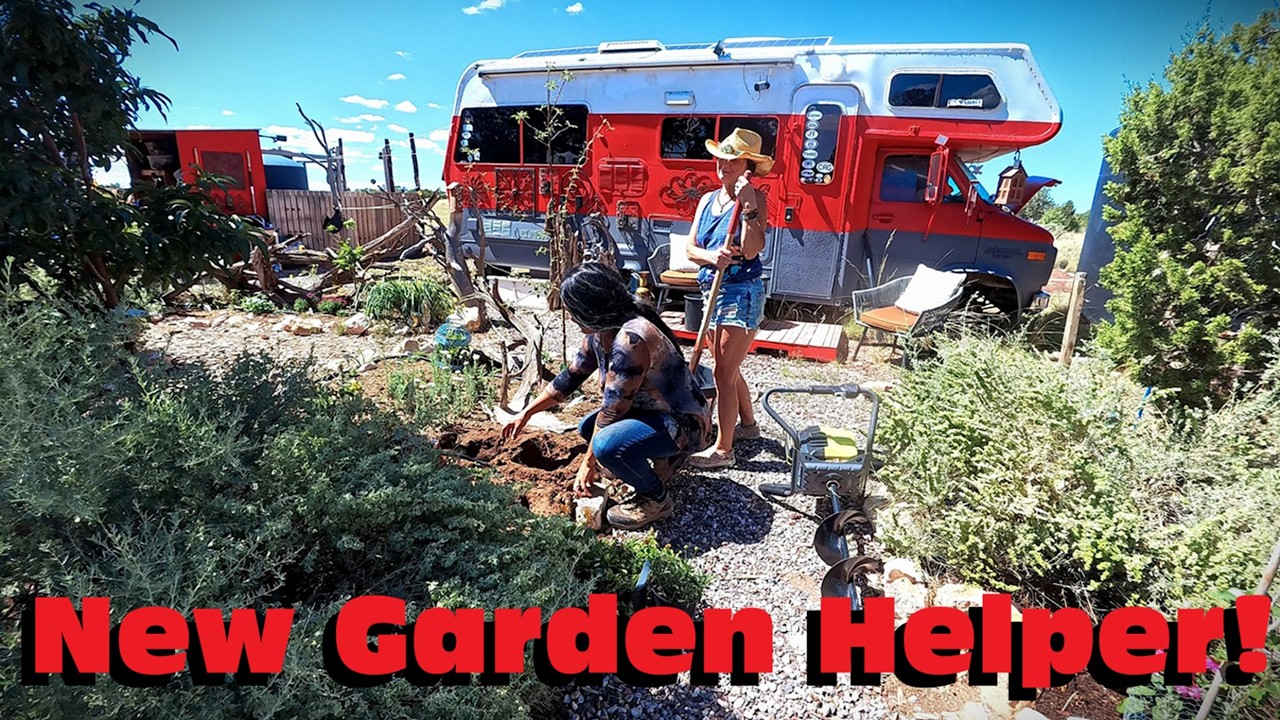 Gardening With A Friend | Unexpected Sale & New Perennials In the Garden