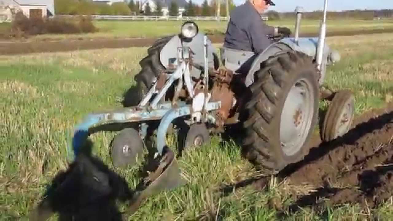 MF 35 Kultamahalla kyntö sujuu!