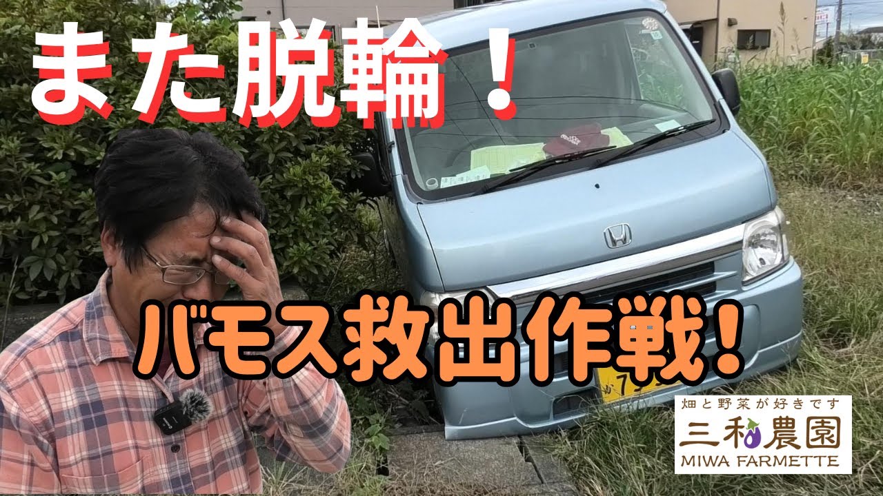 また落ちた…！愛車バモス、まさかの脱輪トラブル（2025.10.25）