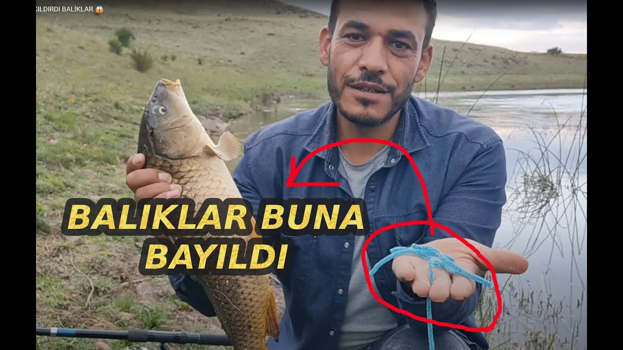 BALIKLAR BU ÜRÜNE  ÇILDIRDI  😱