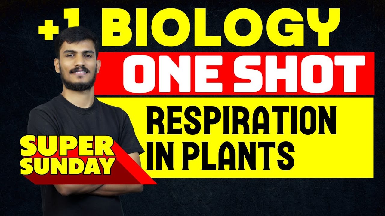 Plus One Biology Respiration in Plants One Shot | Eduport