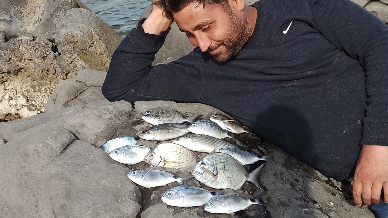 Dolma gibiler Sezon Açıldı Balık kıyıladı 🎣